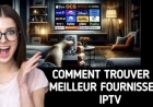 Comment Détecter un Faux Fournisseur IPTV ?